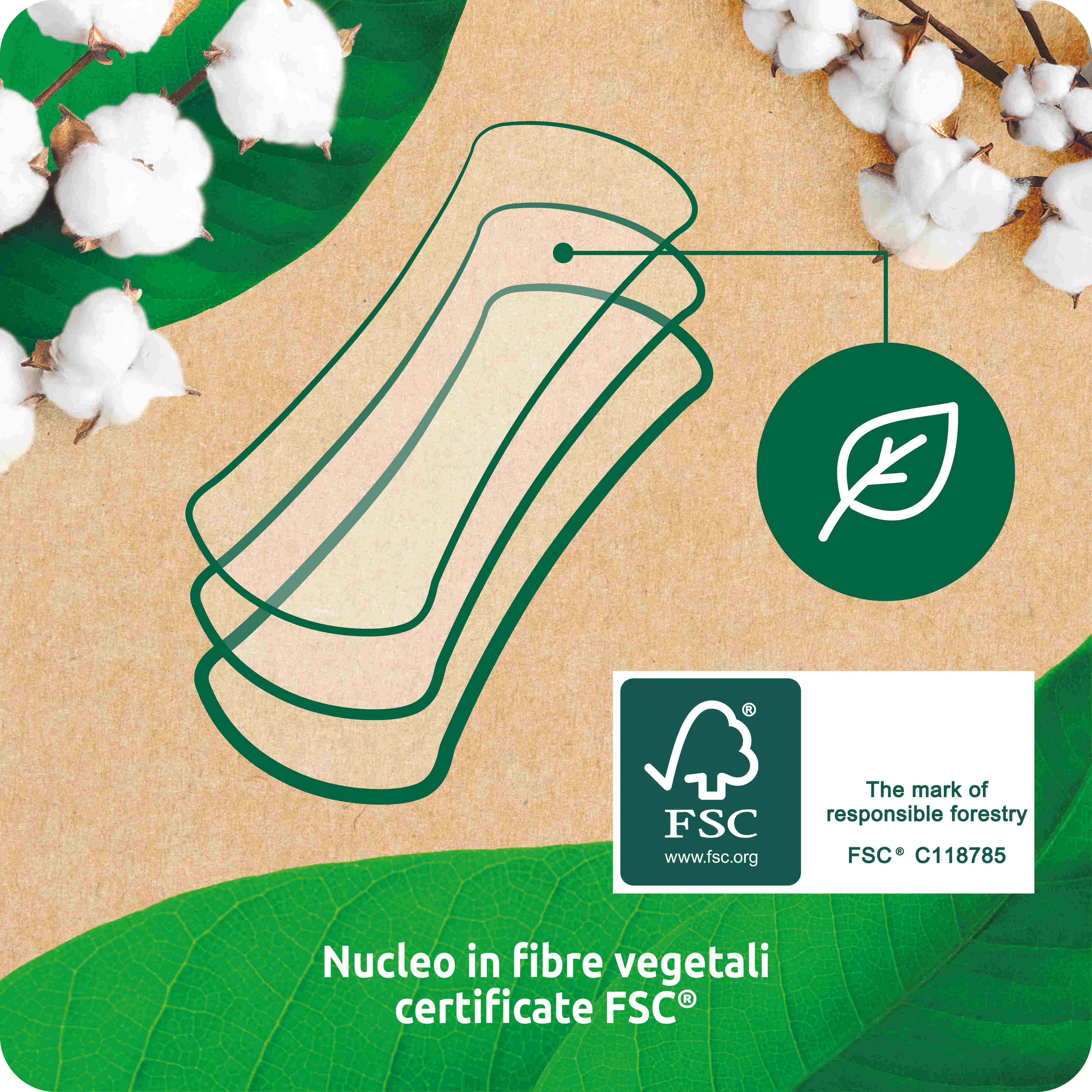 Babylino - Venta al por mayor Compresas y protegeslips - Babylino Everyday Natura Protectores Diarios Normales de Algodón Orgánico, 20 unidades10