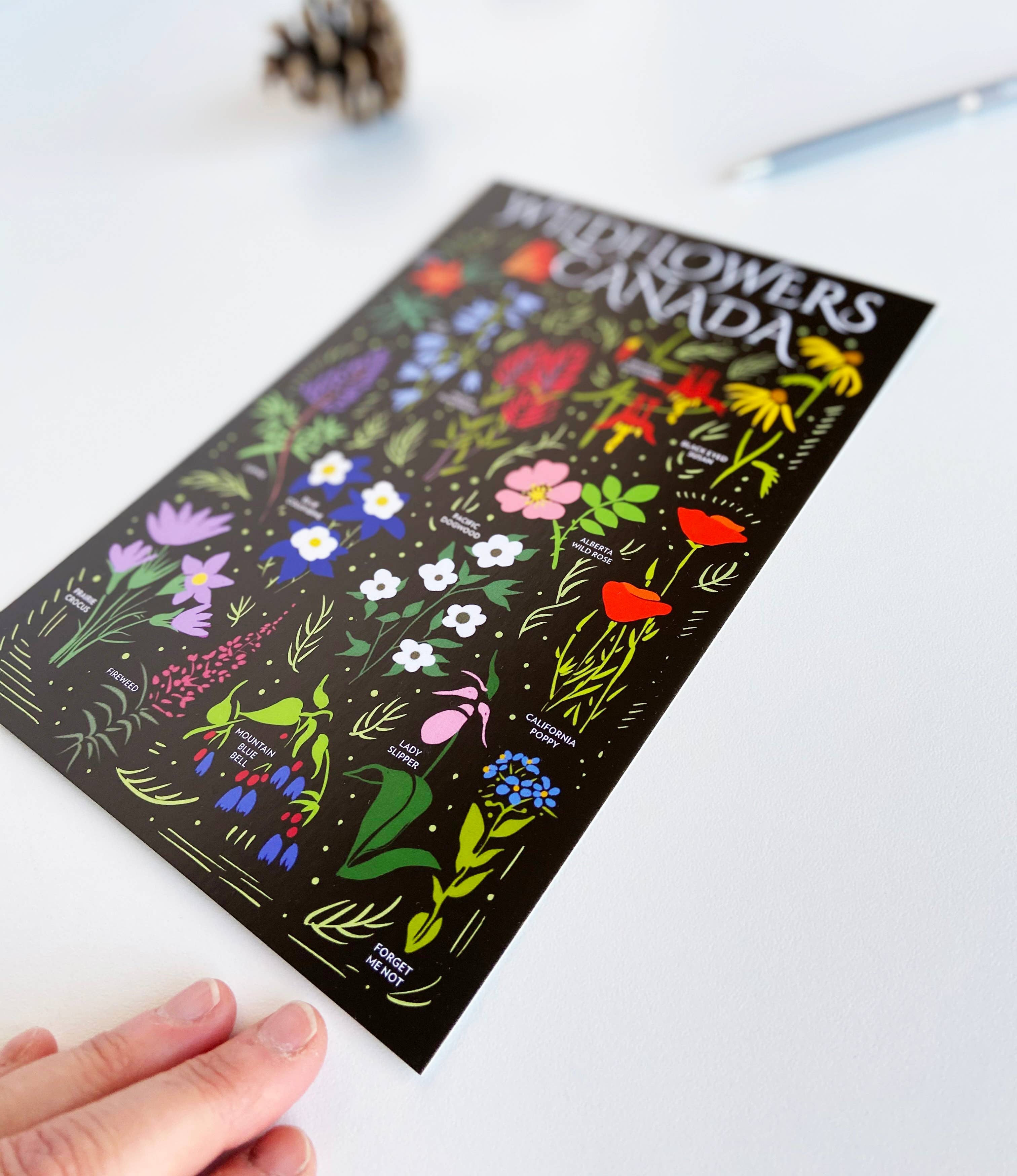 HAVYN - Vente Cartes postales - Fleurs sauvages Canada Carte postale 6x92