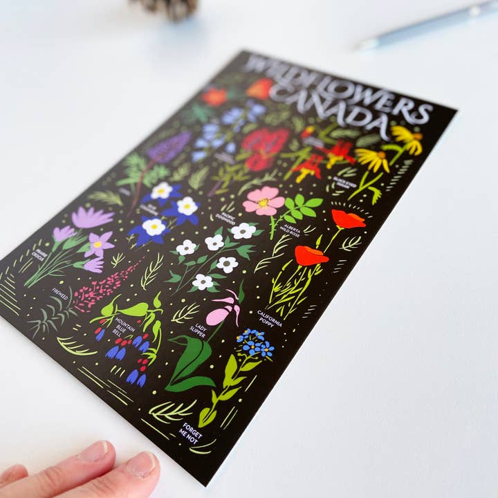 HAVYN - Vente Cartes postales - Fleurs sauvages Canada Carte postale 6x92