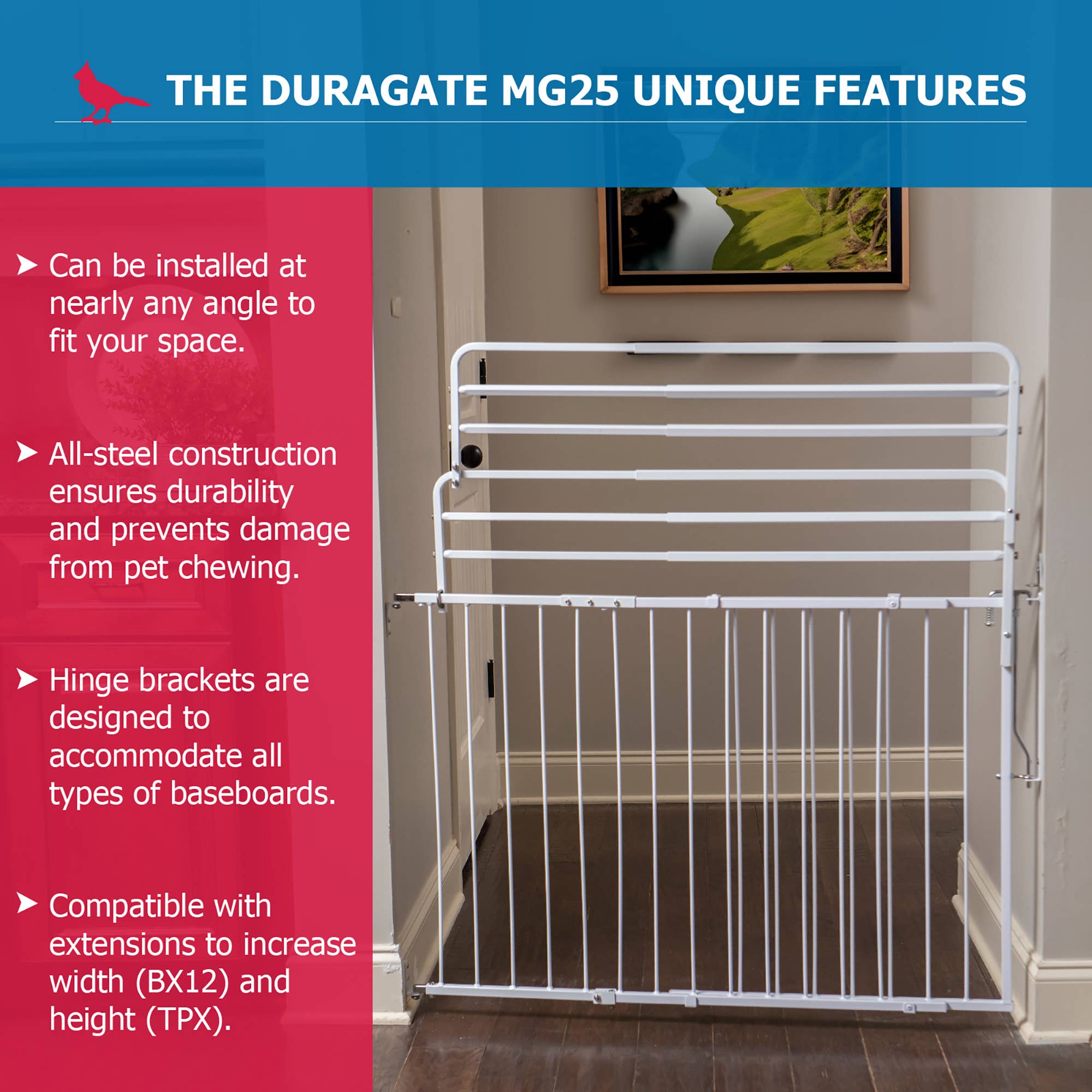 Cardinal Gates, Inc. - Wholesale Pet Folding Gate - Dog - Cardinal Gates Duragate Pet Gate (Model MG-25)7
