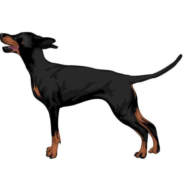 Cover-Alls Decals - Vendita all'ingrosso Decalcomania/adesivo murale - Adesivi Doberman Pinscher