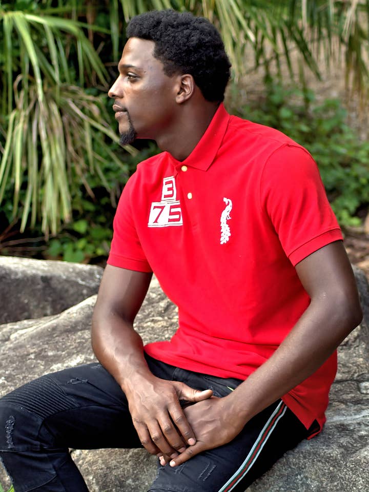 Mænds VaviChi 375 Live, LIVE! Polo for engroshandel hos VaVichi Clothiers