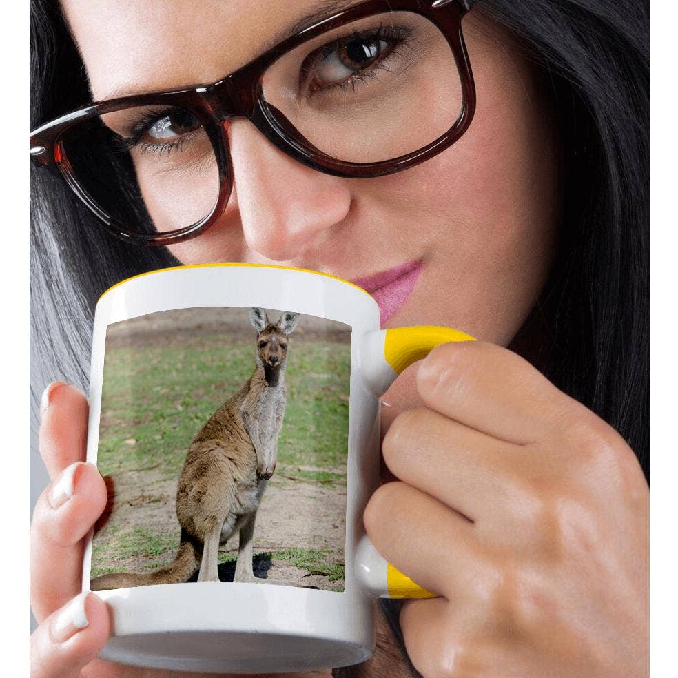 3dRose - Wholesale Coffee mug - 3dRose, Australia, Perth, Yanchep National Park. Western gray kangaroo., Mug1
