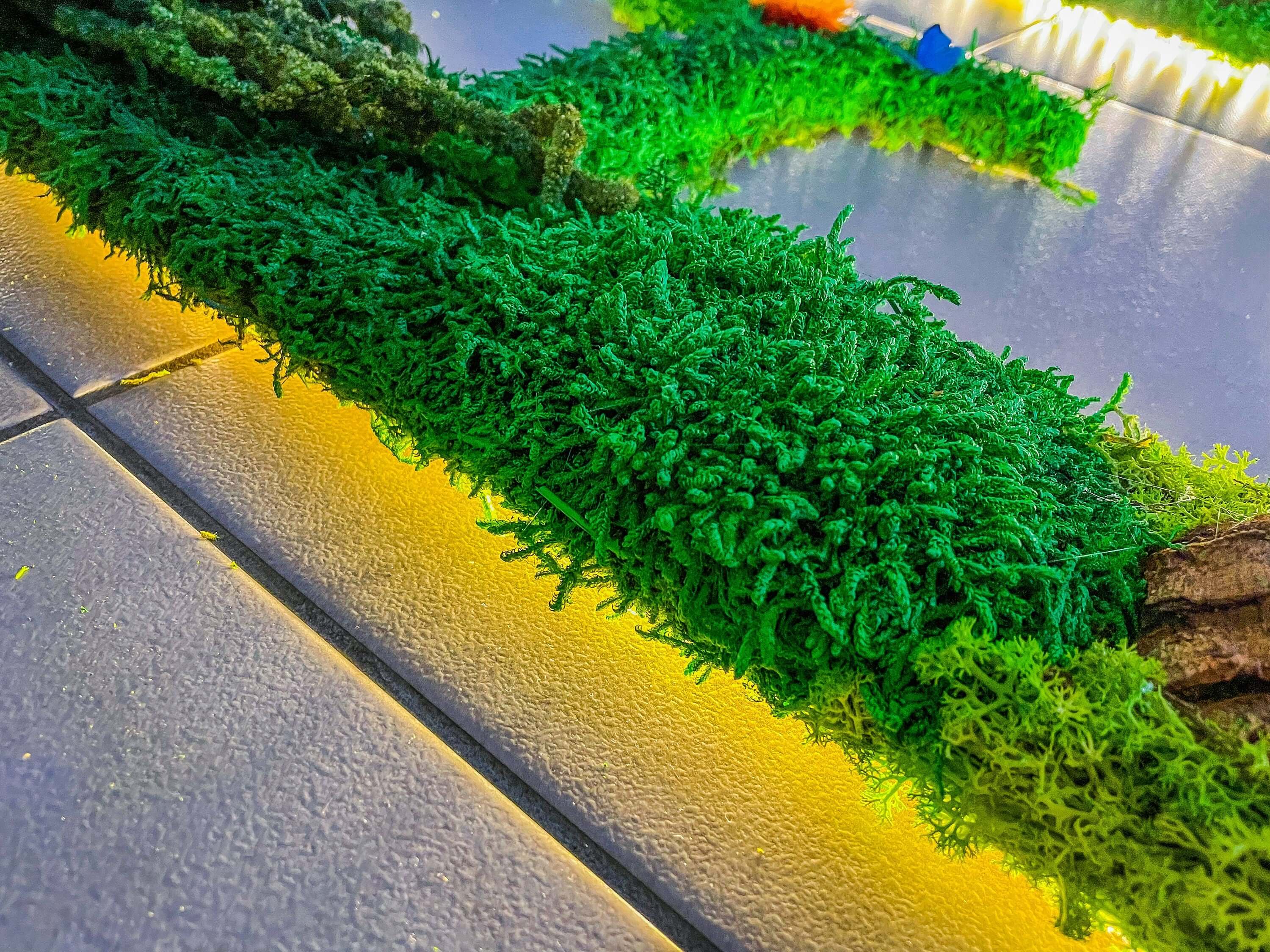 Rishstudio – wholesale Wall Accent – Custom Backlit Wall Letters | Moss Letters logo With Light | RishStudio8