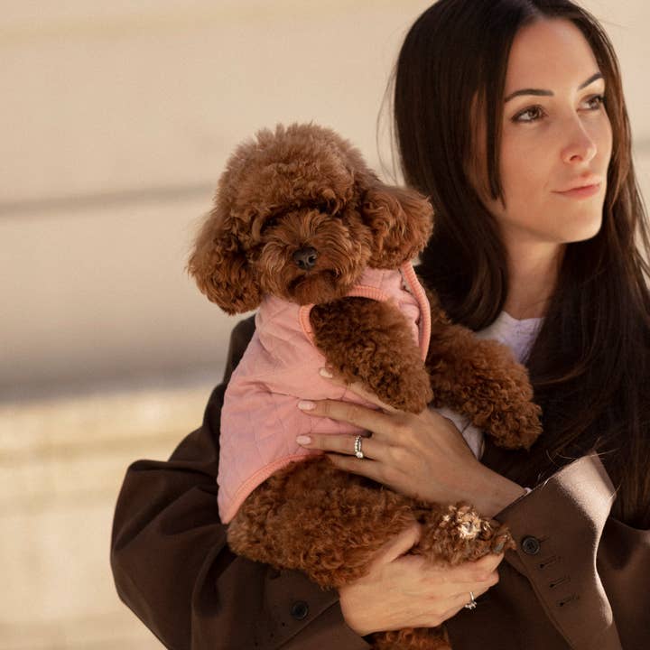 ARISTOPET - Wholesale Pet Coat - Dog - FOXY PINK VEST7