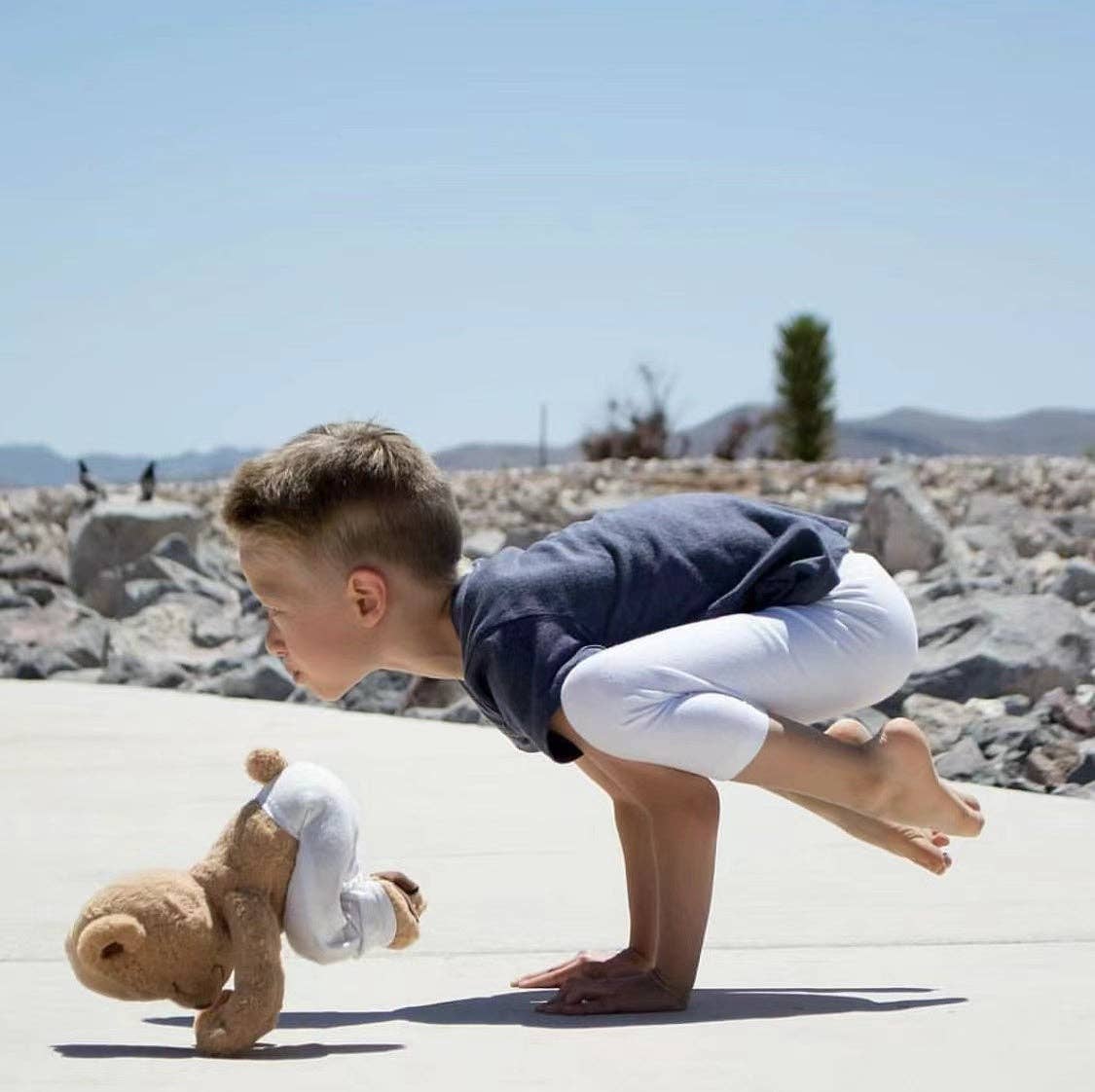 Meddy Teddy – wholesale Fyllda/plyschleksaker - Barn och baby – Meddy Teddy5