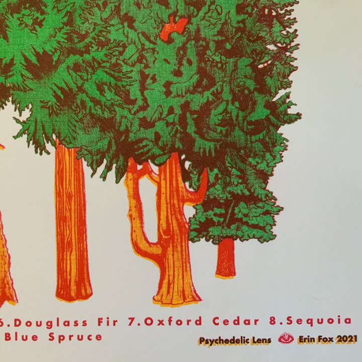 Psychedelic Lens - Wholesale Poster - Conifer Tree Riso Poster