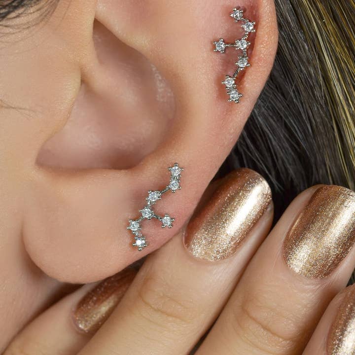 StockJWL - Wholesale Stud/Post Earrings - 12 Zodiac Earrings, Constellation Stud Earring Stud Piercing Tragus Helix Lobe and Cartilage Silver And Gold32