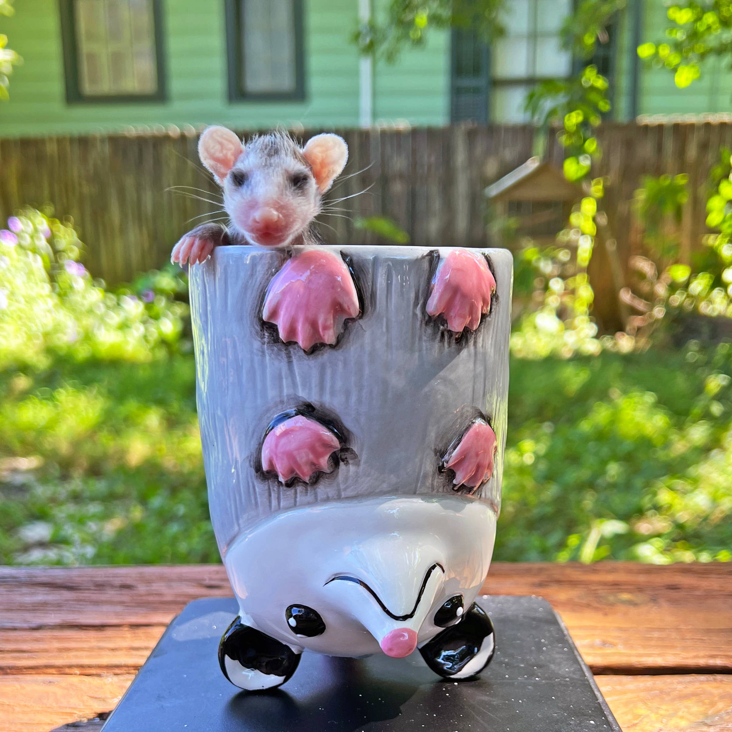 Sesame the Opossum - Wholesale Coffee Mug - Upside-Down Opossum Mug!1