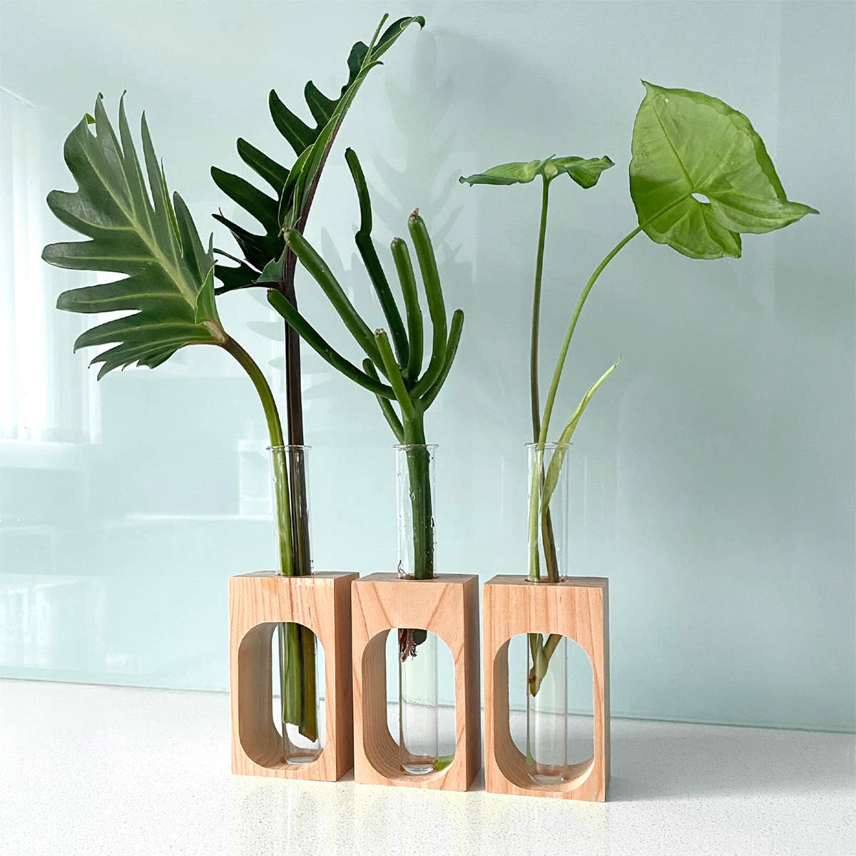 PRINT AND PROPER - Wholesale Hanging Planter - Plant Propagation Station. Wall Mount Test Tube Plant Holder5