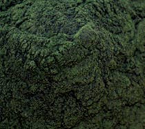 Pure Suds Co – Engroshandel Protein-/superfoodpulver – Spirulina Pulver1