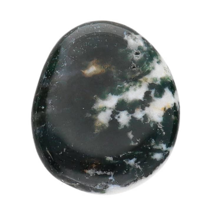 Flat Tumbled Tree Agate for wholesale by Vives de la Cortada S.L