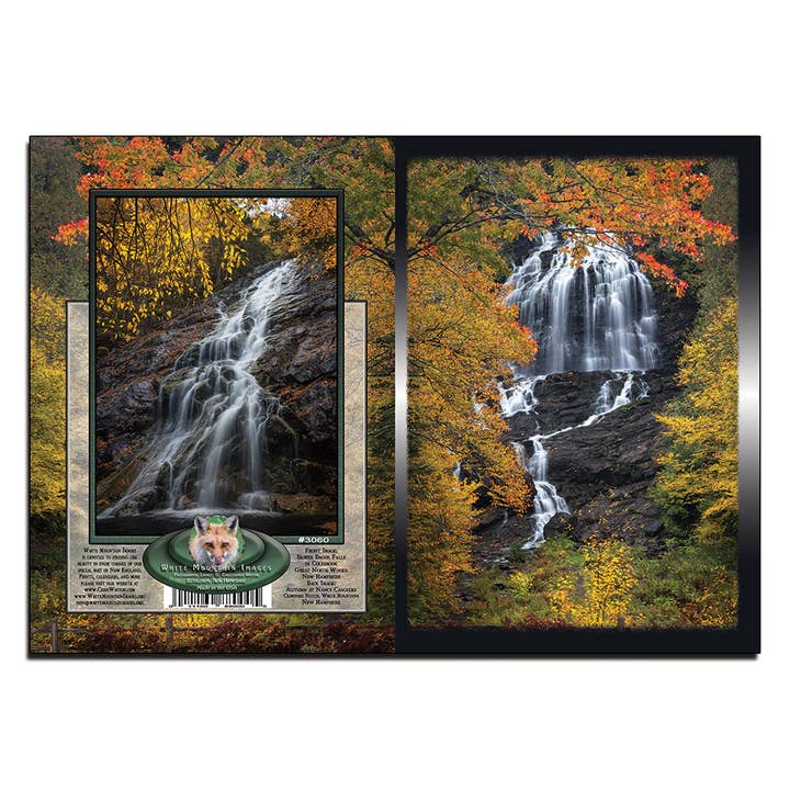 #3060 Beaver Brook Autumn Notecard for wholesale by White Mountain Images