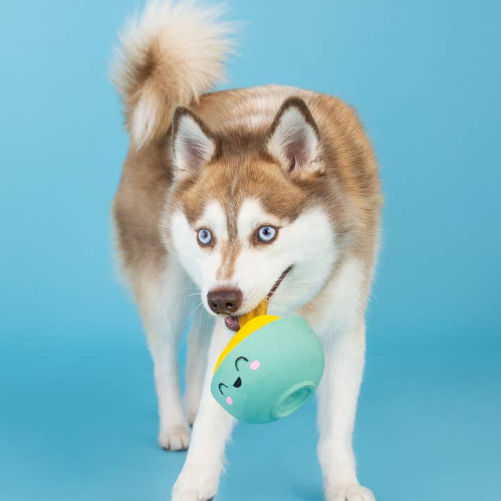 Petshop by Fringe Studio - Wholesale Pet Toy - Dog - YOU MAKE MISO HAPPY LATEX DOG TOY