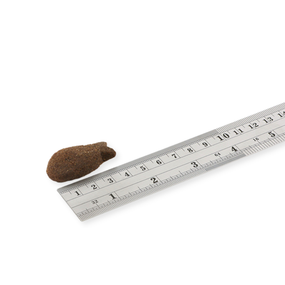 Lucky-Pet Handels- und Produktions GmbH – Engroshandel Godbid - Hund – Fish4Dogs Support+ digestion - Hvide fiskestykker 225 g2