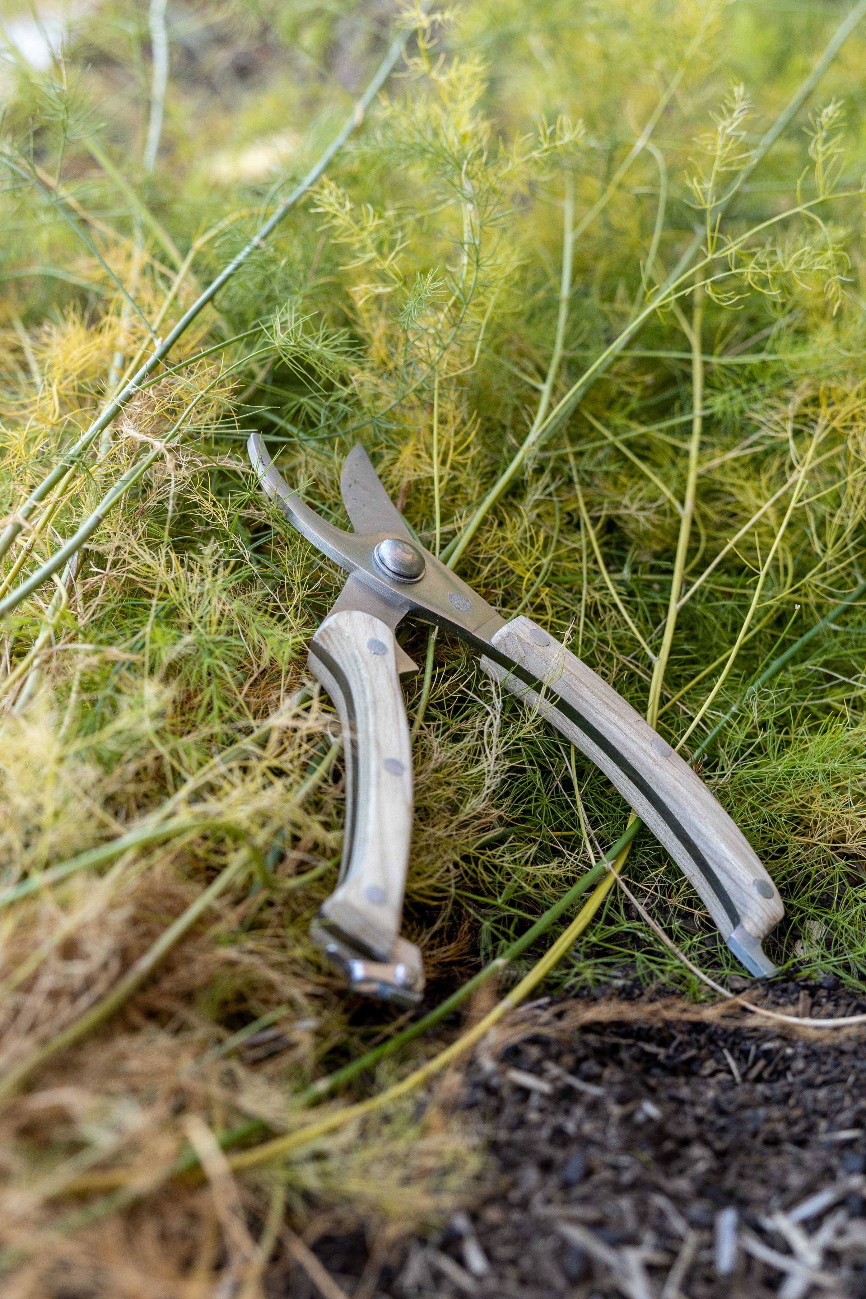 Little Veggie Patch Co - Wholesale Garden tool - Secateurs4