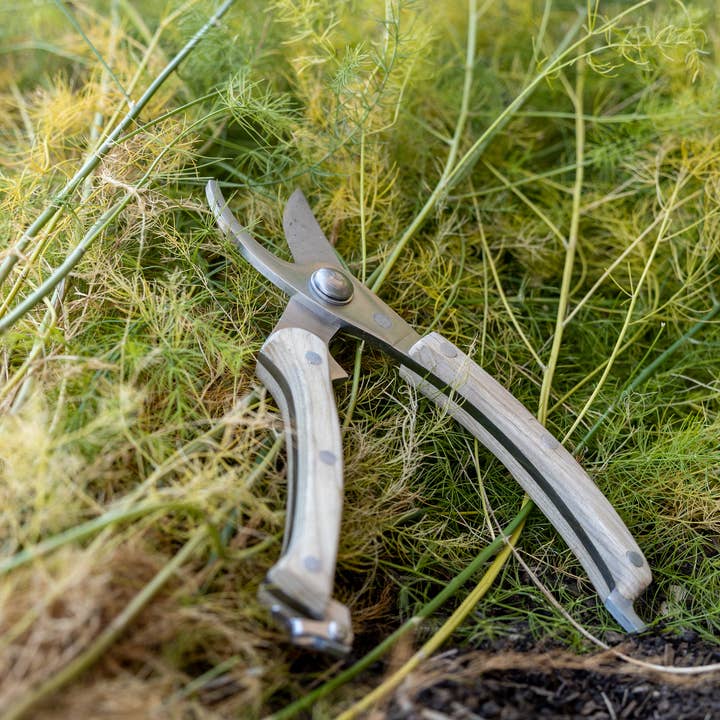 Little Veggie Patch Co - Wholesale Garden tool - Secateurs4