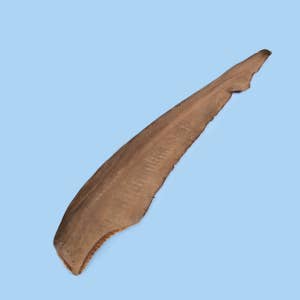 Gummy Shark Tail for wholesale by Biggie's Raw Pantry