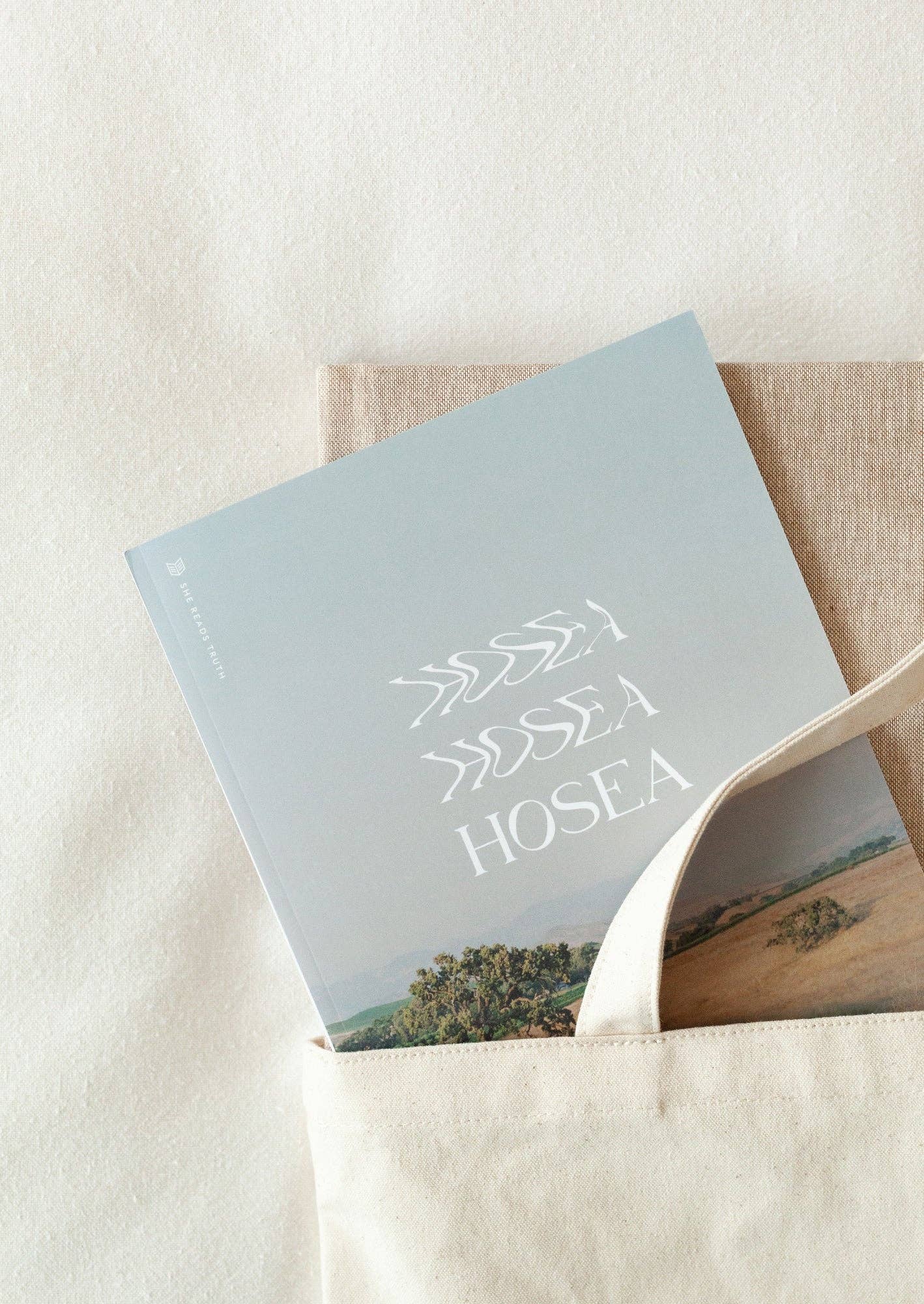 She Reads Truth - Wholesale Religion Book - Hosea Study Book | She Reads Truth1