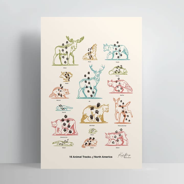 Addvent - Wholesale Art Print - Animal Tracks of North America / Poster Art Print
