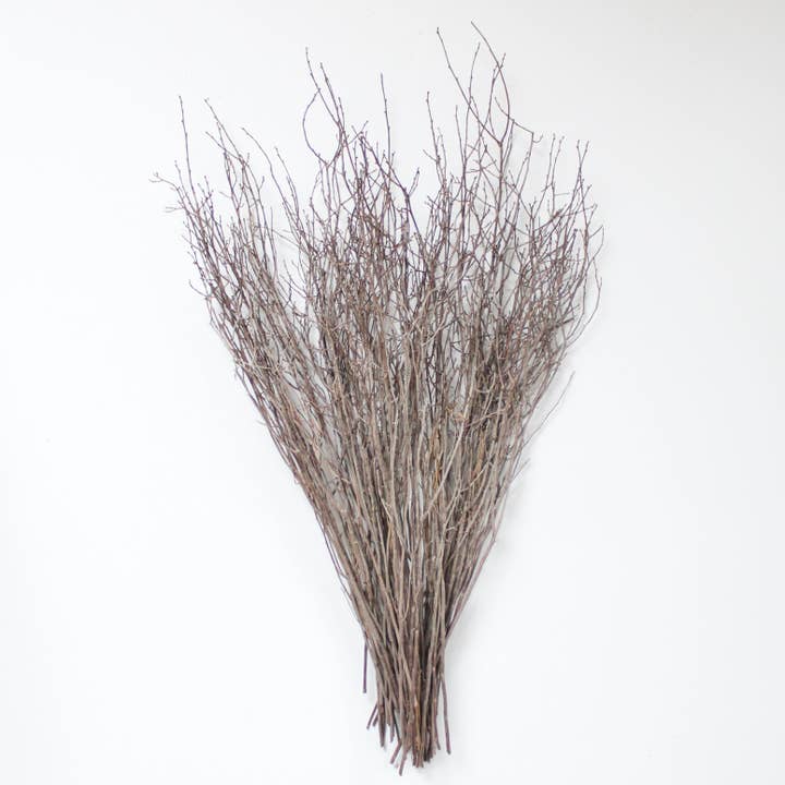 Natural Sweet Huck Branches for wholesale on Faire1