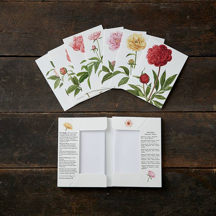 Koustrupco - Wholesale Stationery/Notecard Set - Pæonier- Peonies- cardfolder- set of 8 different cards w/env2
