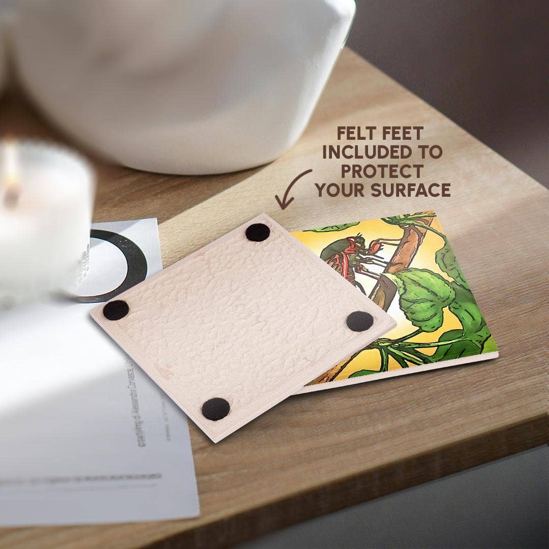 3dRose - Wholesale Coasters - 3dRose, Cicada Insect Black Outline Art, Coaster3