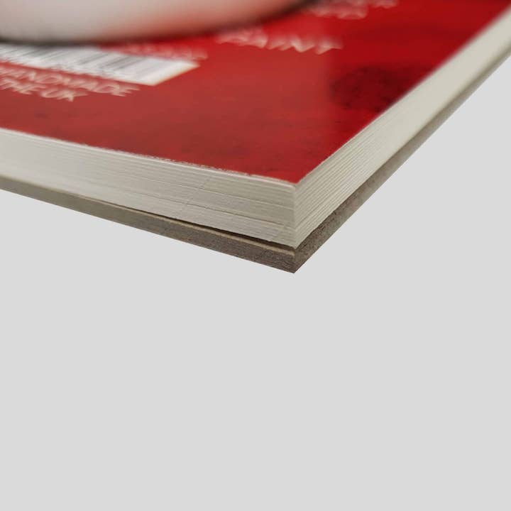 Zieler - Wholesale Painting paper - A3 Bound Acrylic & Oil Pad Textured 300gsm, 15 sheets2