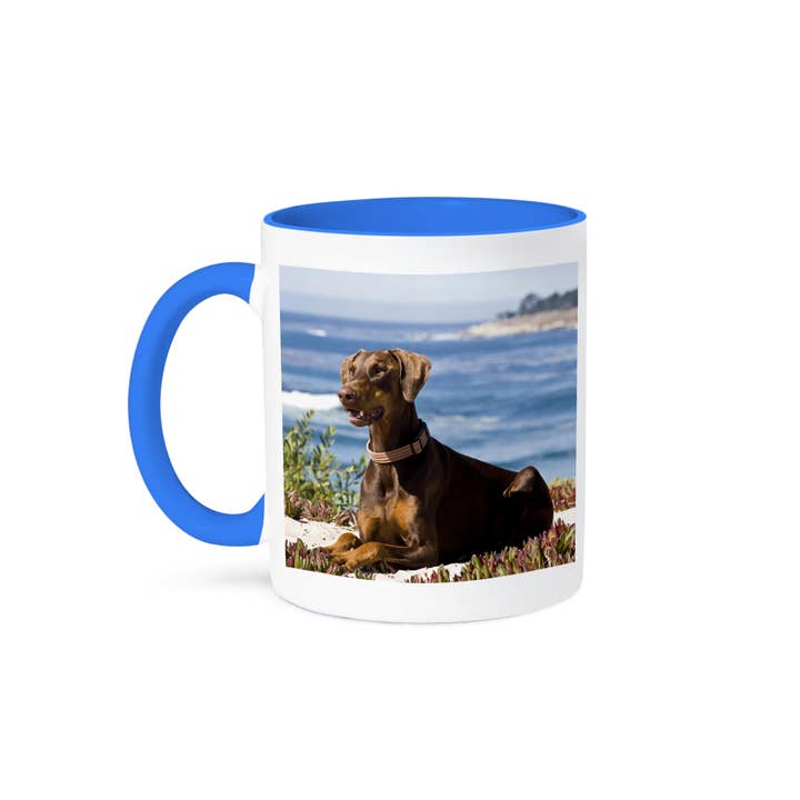 3dRose, A Doberman Pinscher dog - US05 ZMU0368 - Zandria Muench Beraldo, Mug and other Purchase Wholesale balter wasserkocher. Free Returns & Net 60 Terms on Faire trending on Faire.