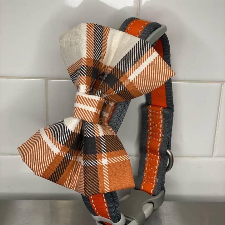 Swanky Pawz - Vendita all'ingrosso Papillon - Cani - Papillon a collare per cani, papillon slip on, papillon scozzese3