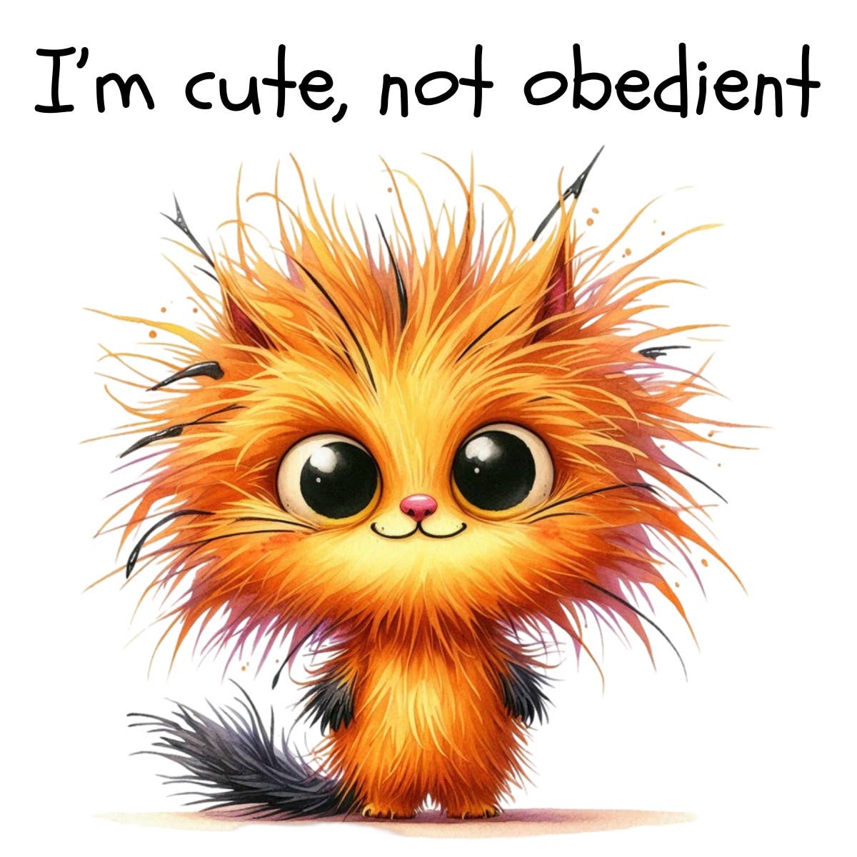 Nimblepic - Wholesale Magnet - Magnets - Sassy Gallery 57