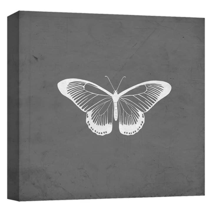 Pale Butterfly Ii 22'' x 22'' Canvas Wall Art for wholesale by PTM Images