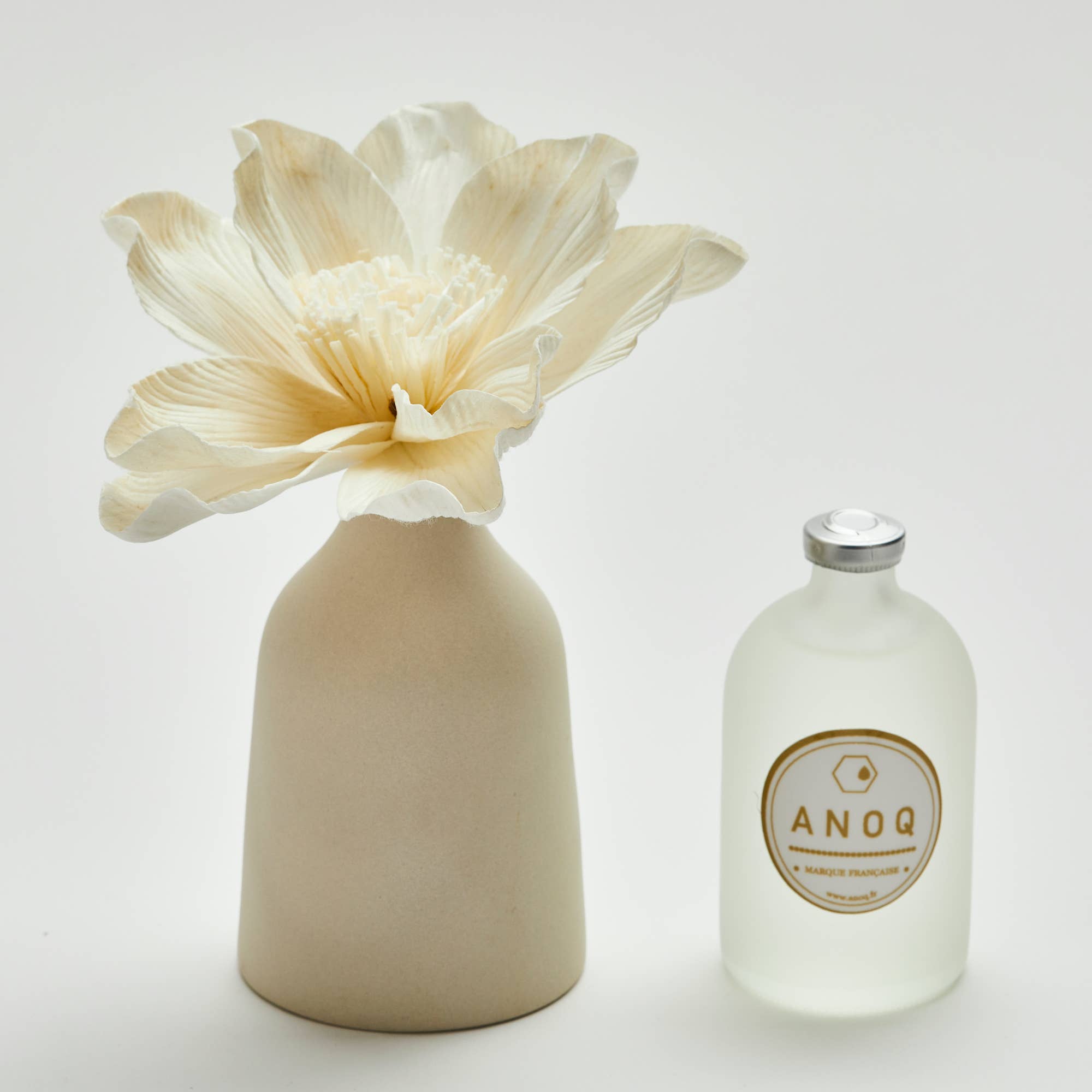 Anoq - Vente Diffuseur à tiges - Vase diffuseur de parfum MANA1