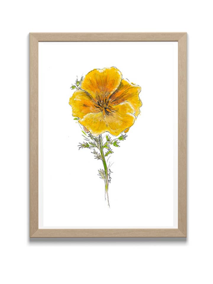 California Poppy Watercolor - Original Art Print for wholesale by Locksley Workshop