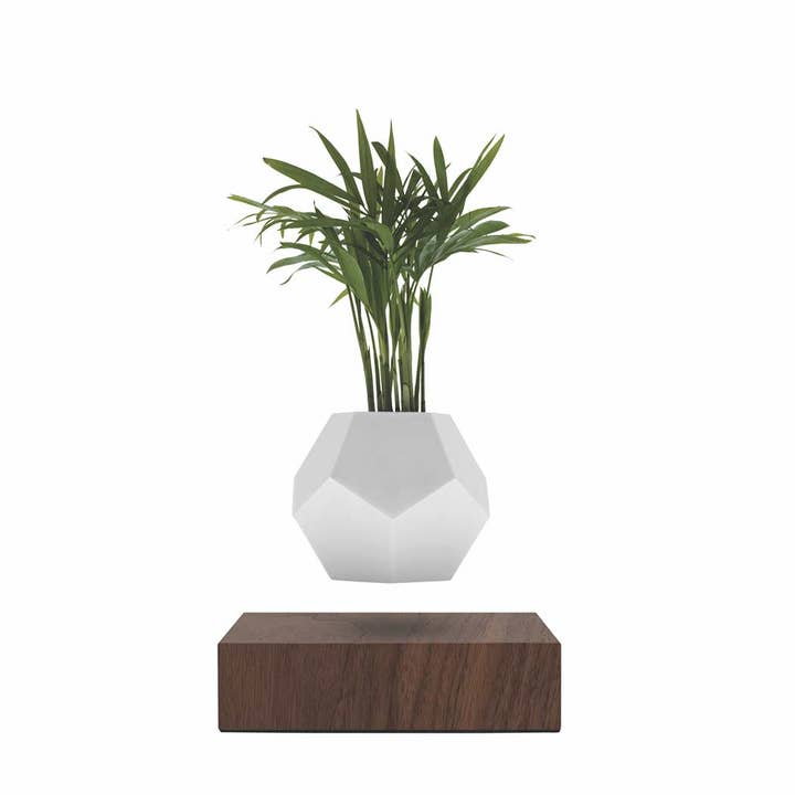 Wooden Amsterdam – wholesale Planteringslåda – LYFE Planter — Leviterande växt - Valnötsträ