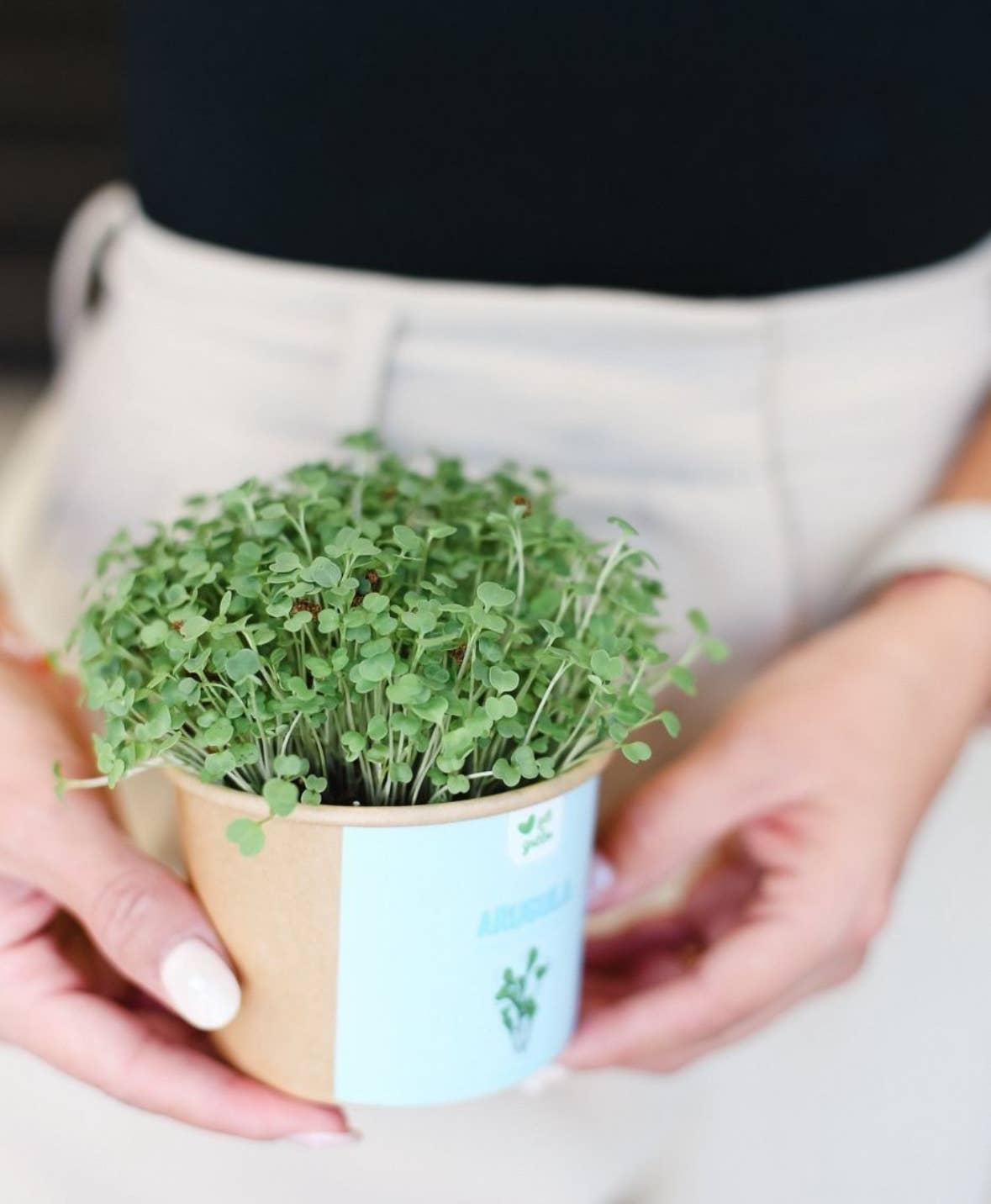 giftagreen - Wholesale Plant Seeds - Gift Box - All Occasion2