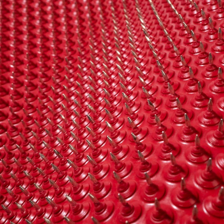 Lyapko Applicators - Vendita all'ingrosso Massaggiatori - Lyapko Mat 7.0 Silver-Coated in esclusiva! Applicatore4