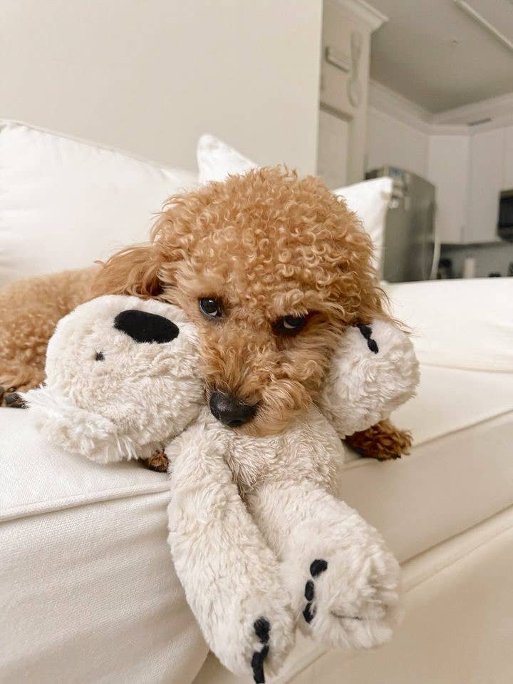 Fur Elise Pets - Wholesale Pet Plush Toy - Dog - Koko Maxi Plushie6