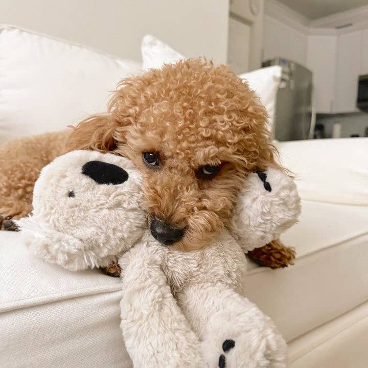 Fur Elise Pets - Wholesale Pet Plush Toy - Dog - Koko Maxi Plushie6