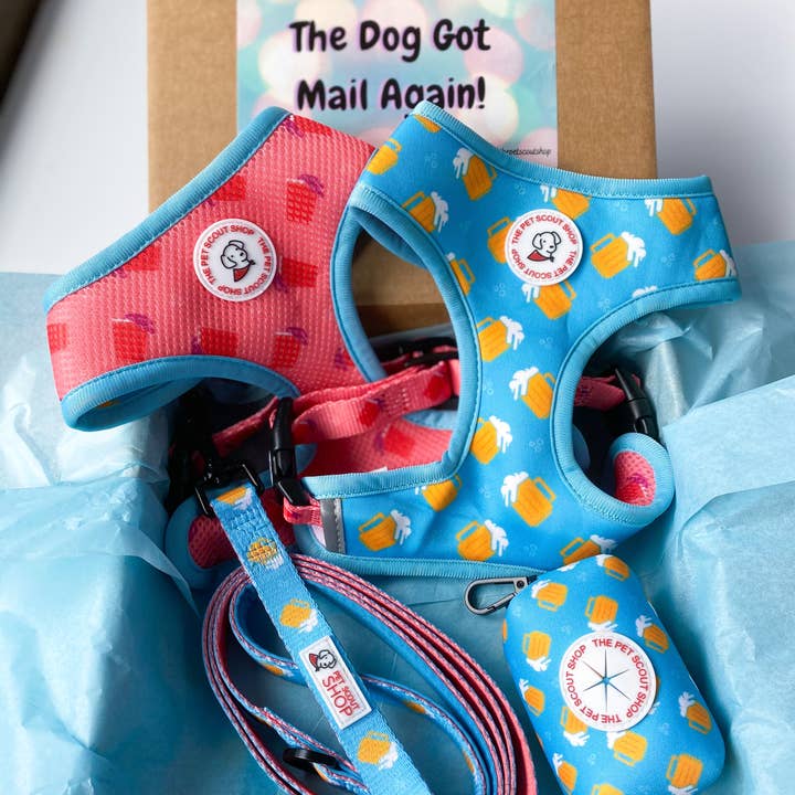 The Pet Scout Shop - Wholesale Pet harness – Dog - Summer Beer Reversible Harness0