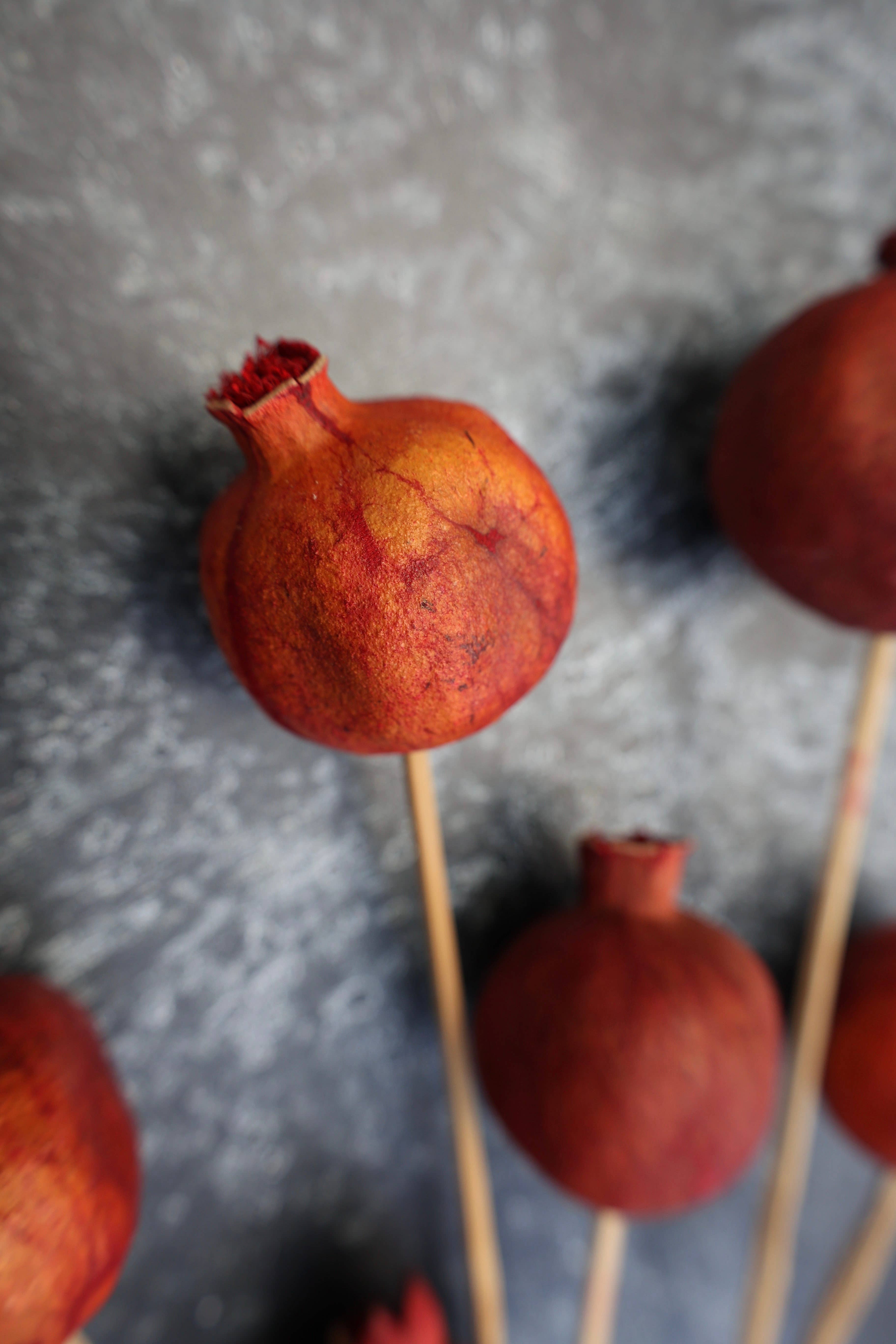 FlowerFantaSee - Wholesale Dried/Pressed Flowers - Dried Pomegranate Stems 3