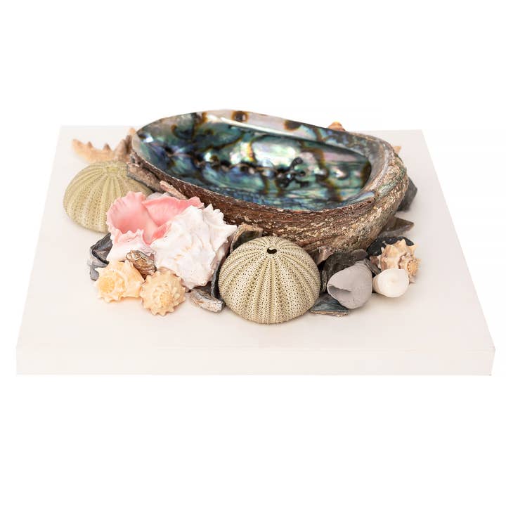 Sarimoire - Vente Échantillon pour commerçant – décoration d'intérieur - Décoration en coquille d'ormeau, décoration océanique, décoration décorative sur la plage - W