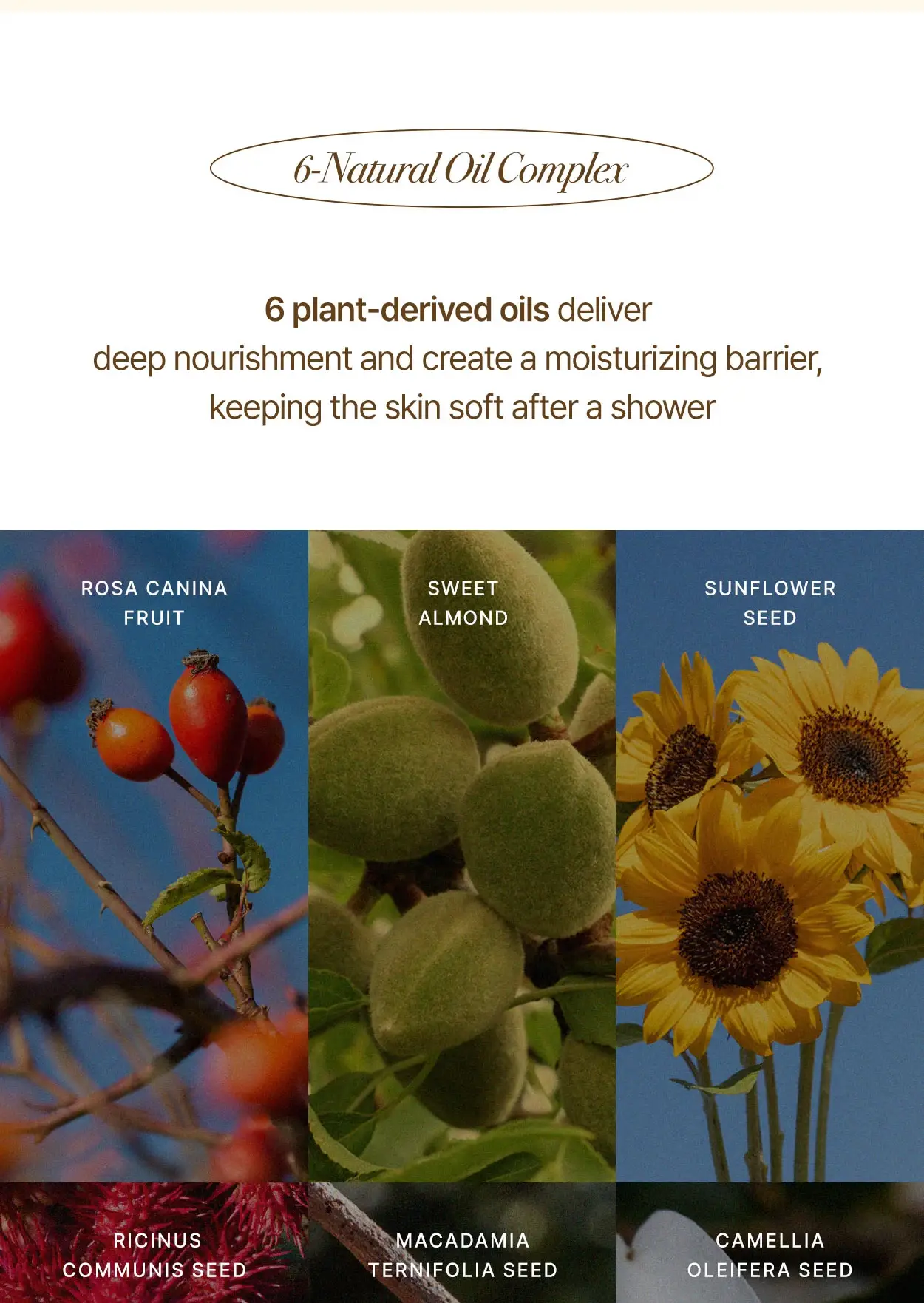 CELEMENT /IN YOUR GLOW - Wholesale Body Wash/Shower Gel - K Beauty Perfumed Hand soap Body Wash 2in1 10.14oz (300ml)8