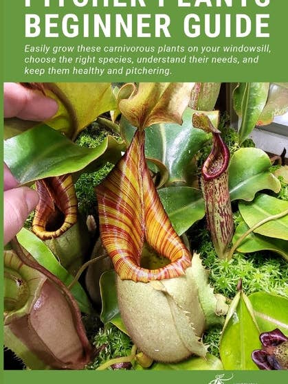 Pitcher Plants Beginner Guide: Easily grow these carnivorous plants on your windowsill, choose the right species, understand their needs, and keep th - Paperback for wholesale by Books by splitShops