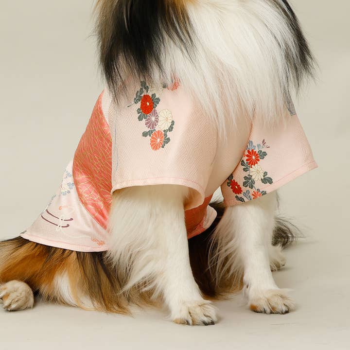 T-shirts van KIMONO voor wholesale door MOLUYUKA