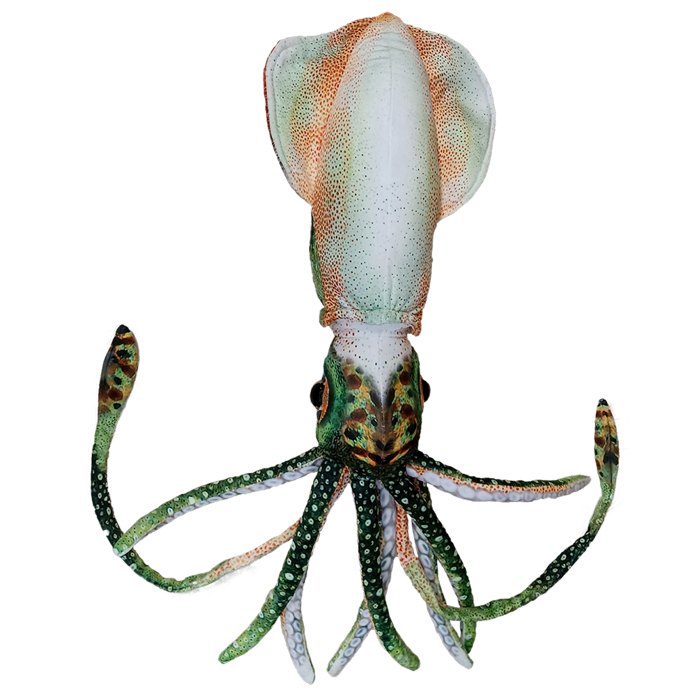 Texas Toy Distribution – Engroshandel Plyslegetøj - Børn og baby – Blæksprutte 16" Blæksprutte Akvatisk Plys Legetøj Havdyr1