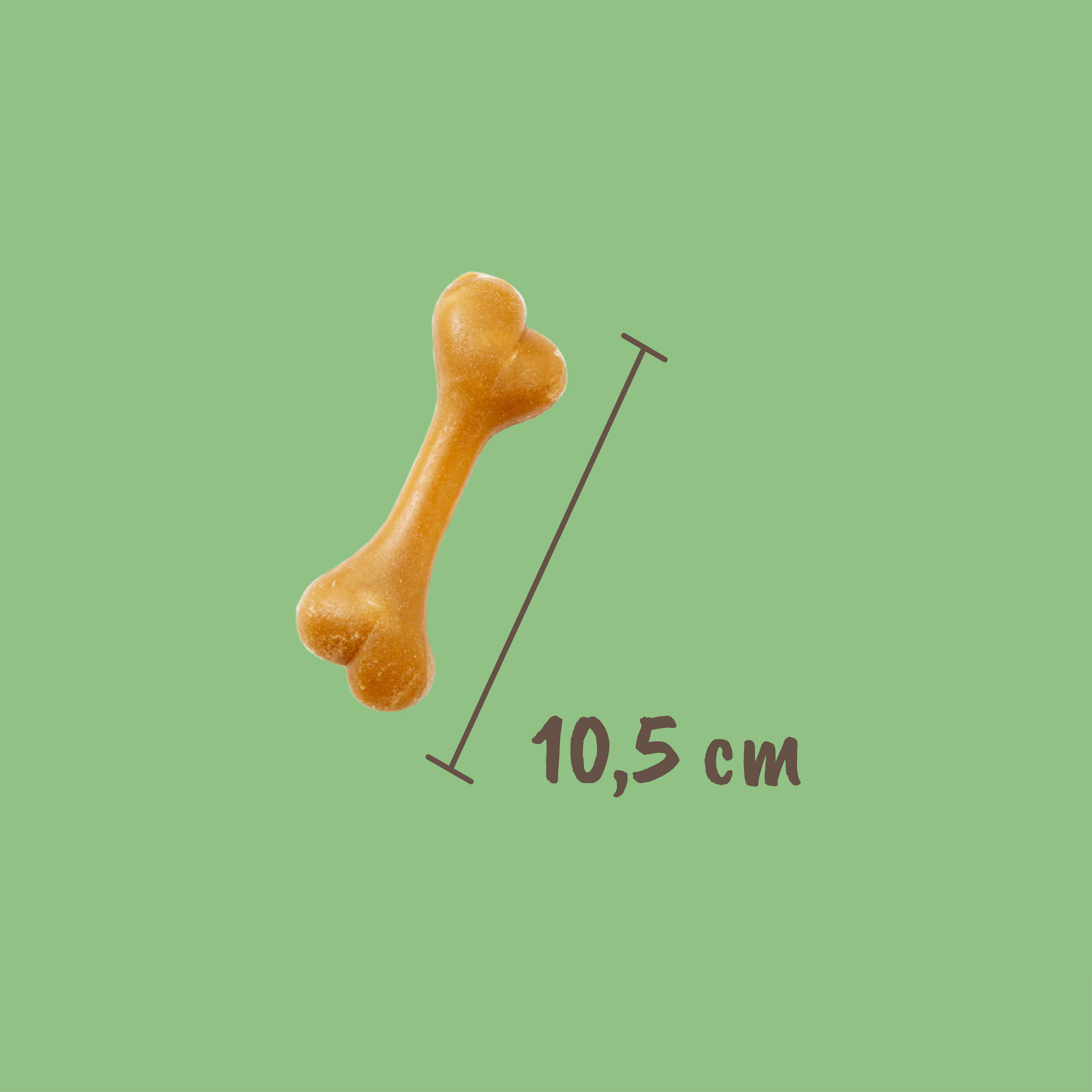 Pettech S.r.l. - Wholesale Pet Treats - Dog - Vegetable bone for small dogs (5 pieces)4