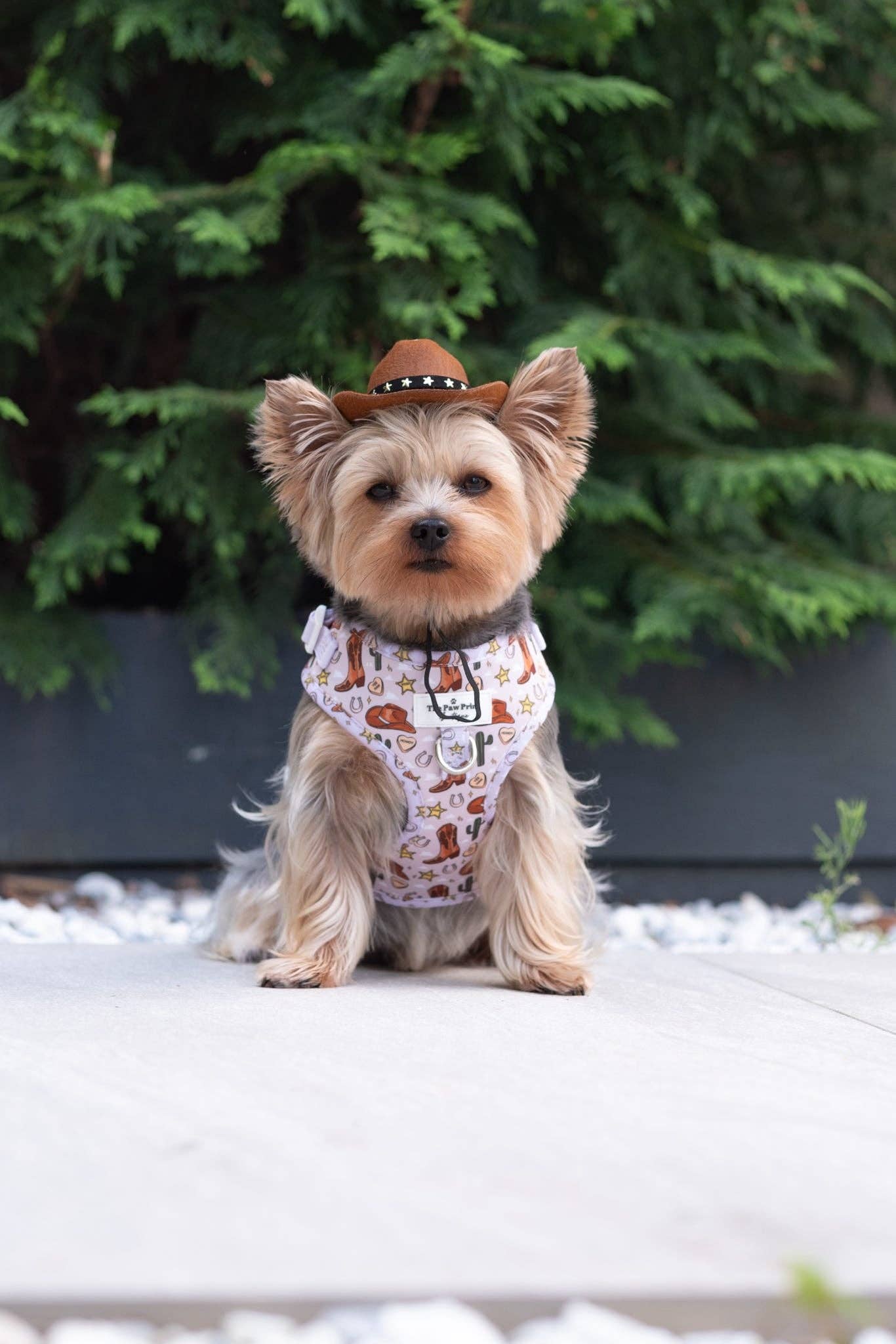 The Paw Print Boutique – wholesale Pet harness – Dog – Howdy Pawtner Adjustable Harness2