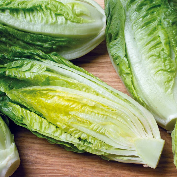 Bentley Seed Co. - Wholesale Plant Seeds - Lettuce, Parris Island Romaine Seed Packets3