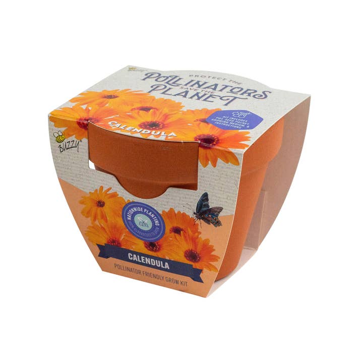 Calendula Pollinator Classic Terra Cotta Calendula Pollinator Classic Terra Cotta
